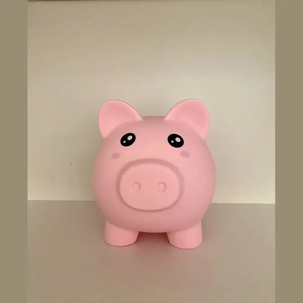 I-total Spaarpot Varken Onbreekbaar - Spaarvarken -Pvc - Educatief - Roze Spaarvarken thumbnail