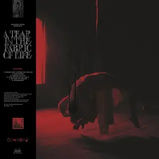 Pure Noise Records A Tear In The Fabric Of Life Ep (Lp)