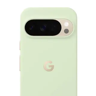 Google Pixelsnap mobiele telefoon behuizingen 17,3 cm (6.8") Hoes Groen