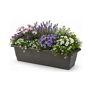 Plasticforte Plantenbak - Antraciet - Rechthoekig - 60 X 20 X 16 Cm - Bloembakken