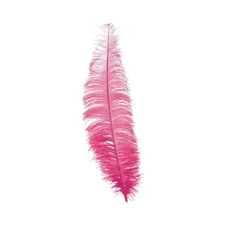Grote Struisvogelveer/pietenveer - Roze - 40 Cm - Charleston/jaren 20/twenties Thema Verkleed Accessoire