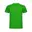 Fern Green 226