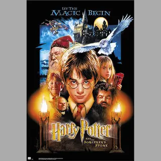 Grupo Erik Poster Harry Potter - And The Sorcerers Stone 61x91, 5cm