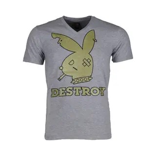 Local Fanatic T-shirt - Destroy - Grijs