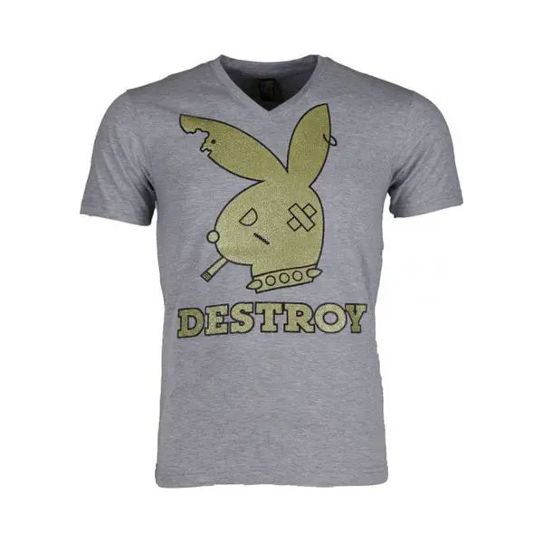 Local Fanatic T-shirt - Destroy - Grijs thumbnail