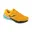 Geel