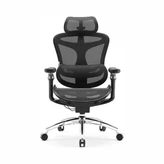 Sihoo Doro C300 Pro Ergonomic Office Chair With Ultra-Soft 6D Armrests, Dynamic Lumbar Support, Seat Depth Adjustment And Adjustable Backrest Desk