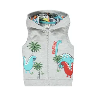 Civil Dino Vest Jongens