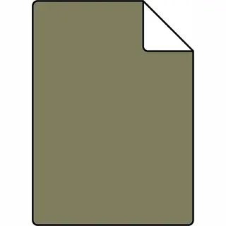 Proefstaal ESTAhome Muurverf Mat Vergrijsd Olijfgroen - 2 L / Ca. 18 M� - 191016-S