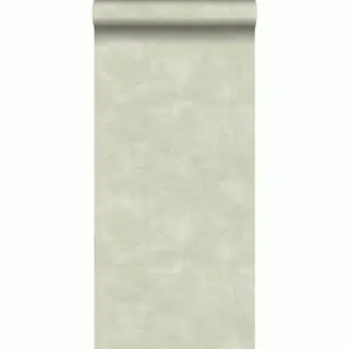 ESTAhome Behang Betonlook Lichtgroen - 53 Cm X 10.05 M - 139018