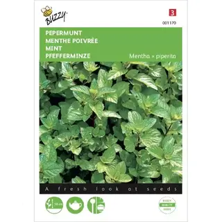 Buzzy Seeds Buzzy Zaden Pepermunt