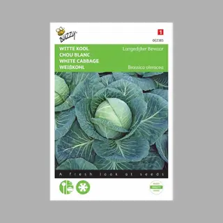 Buzzy Zaden - Witte Kool Langedijker Bewaar - Brassica Oleracea