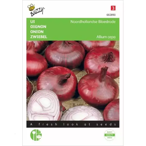 Moestuinplant Buzzy Uien Noordhollandse Bloedrode - Allium Cepa thumbnail