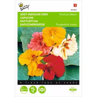 Ta Oost-Indische Kers Glorious Gleam - Tropaeolum Majus
