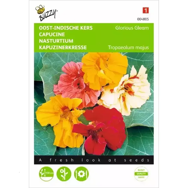 Ta Oost-Indische Kers Glorious Gleam - Tropaeolum Majus thumbnail