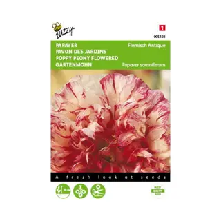 Buzzy Seeds Buzzy® Papaver Flemish Antique