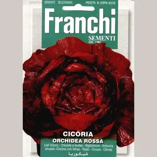 Franchi - Cicoria Orchidea Rossa - Roodlof