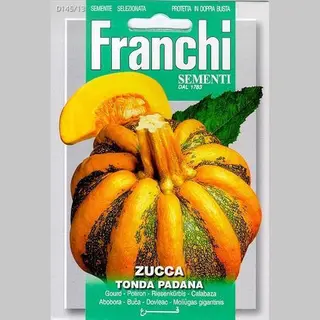 Franchi - Zucca Tonda Padana - Pompoen /squash
