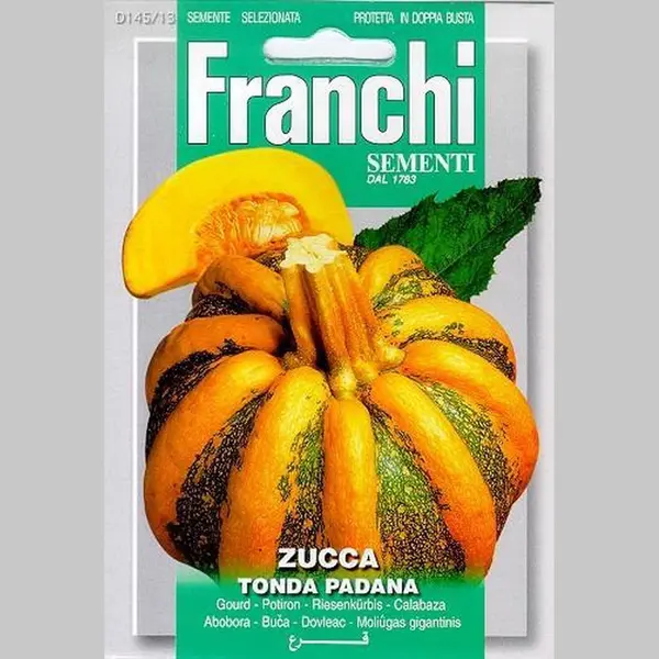 Franchi - Zucca Tonda Padana - Pompoen /squash thumbnail