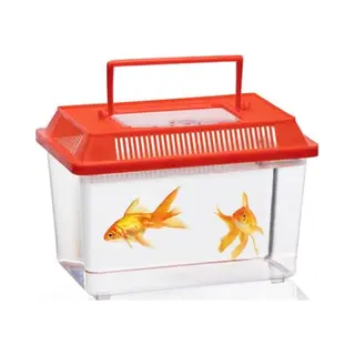 Insektenbox – Zufällige Auswahl Aus Einer 2er-Packung Mit Verschiedenen Designs – 1 Stück