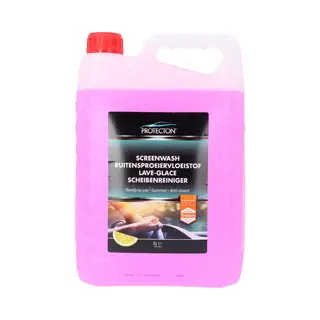 Protecton 1890921 Scheibenreiniger Kanister, Rosa, Inhalt, 5l