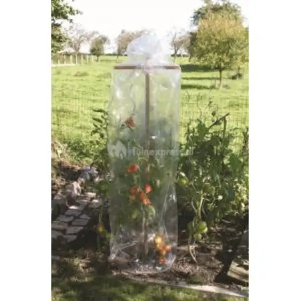 Nature Reifehaube Tomaten Tomatenfolie Reifefolie Tomatenhaube Schutzfolie thumbnail
