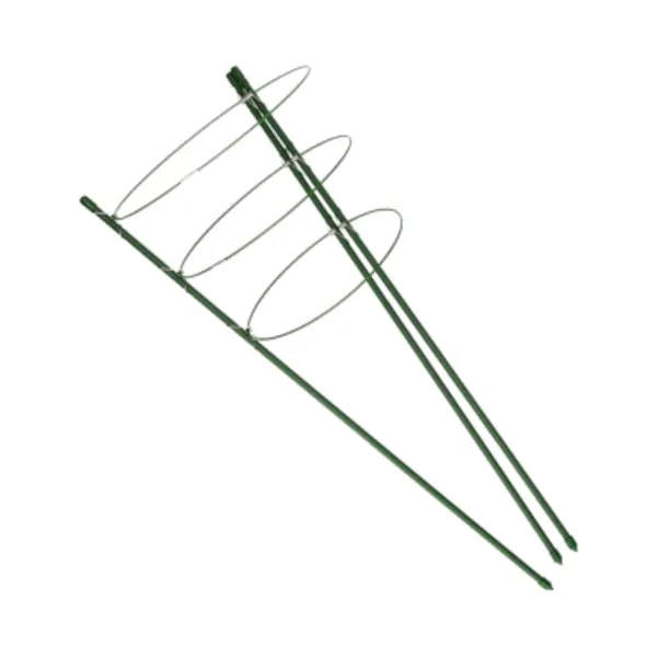Nature Plantensteun 3 Ring 18-22cm H60x7mm Groen Geplast. thumbnail