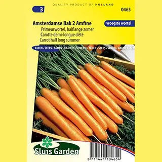 Arborix Carrot Amsterdamse Bak 2 Amfine (Halflong Summer) Vegetable Seeds Per Gram - The Earliest Type Of Carrot, A So-called 'primeur Carrot - 2, 5 G - Seeds