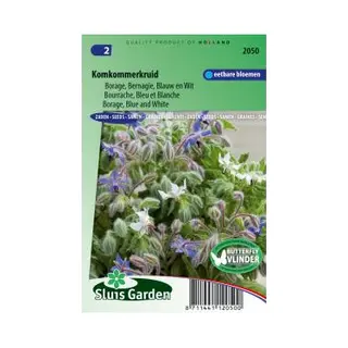 Sluis Garden - Komkommerkruid Blauw/ Wit (Borago Officinalis)