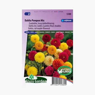 Sluis Garden - Dahlia Pompon Mix