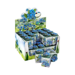 Sluis Garden - Greengift, Vergeet Me Niet 40 Stuks In Showdoos