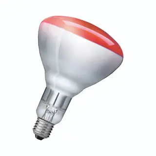 Philips 923212043801 Infrarotbirne 250 W