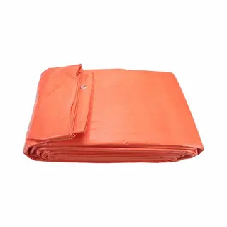 Dekkleed Pe 2 X 3 Meter Eco 100 Gr/m² - Oranje
