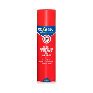 Roxasect Spuitbus Tegen Kruipende Insecten En Wespen 400 Ml