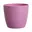 Levendig Violet