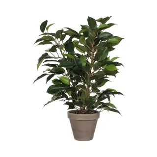 Kunstpflanze Mica Kunstpflanze Ficus Natasja Grün Im Topf 40 X, Mica Decorations