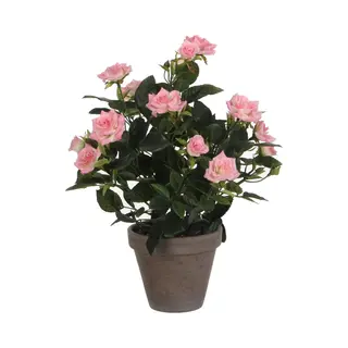 Edelman Rosebush Articial Pot, Pink
