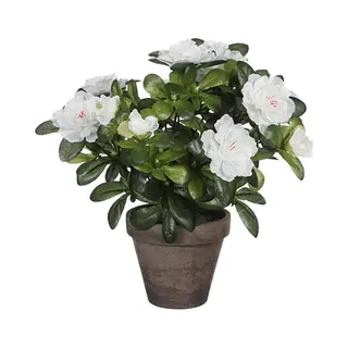 Mica Decorations, Kunstmatige Planten, Kunstmatige Azalea Wit In Een Pot (27 cm)