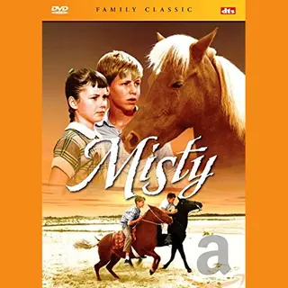 Misty