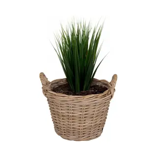 Mega Collections Planten/bloemen Mand Levi - Rotan - Naturel - D35 X H25 Cm - Plantenpot Voor Buiten