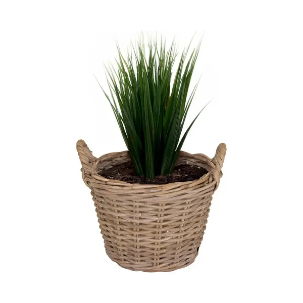 Mega Collections Planten/bloemen Mand Levi - Rotan - Naturel - D35 X H25 Cm - Plantenpot Voor Buiten thumbnail