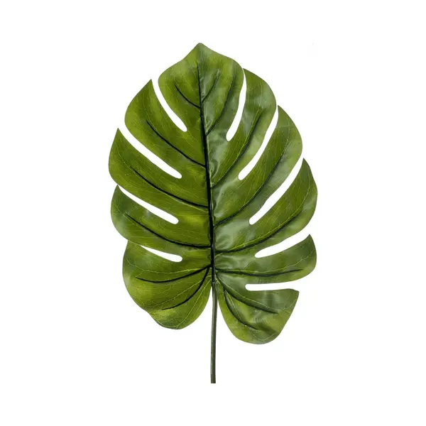Emerald - Kunsttak Monstera Blad 95cm Xl - Kunstplant Voor Binnen thumbnail