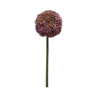 Emerald - Kunstbloem Allium 75cm Paars - Kunstplant Voor Binnen