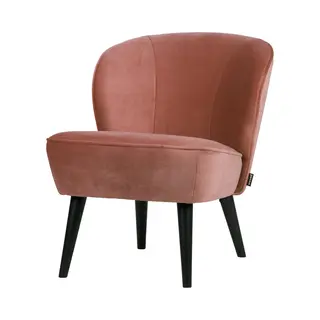 Loungesessel Sara Altrosa