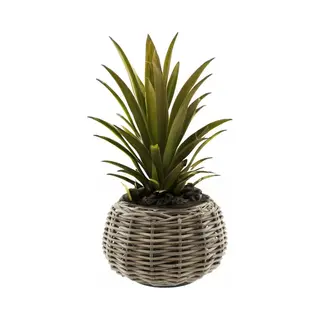 Van Der Leeden Drypot® Rattan Tina Pflanzkübel Grau Ø 29 Cm - Sylter Körbe