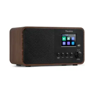 Audizio Avio Wd Internet Digitaal Zwart