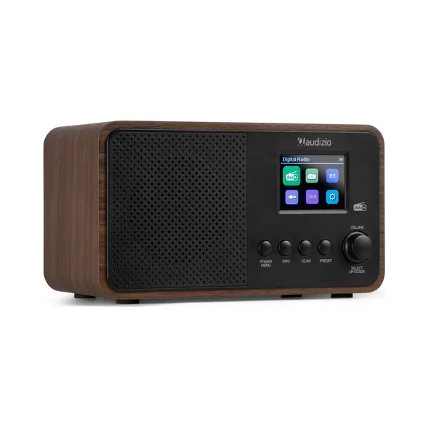 Audizio Avio Wd Internet Digitaal Zwart thumbnail