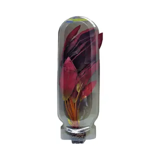 Superfish Easy Plants Hoog Nr. 14, Van Zijde 30 Cm - 1 St