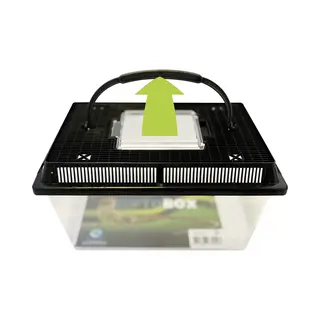 Repto Box 27x17x16 Cm - Transport Bak Reptielen