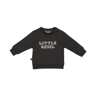 Frogs And Dogs - Dino Park Sweater Little Rebel - - Maat 74 -